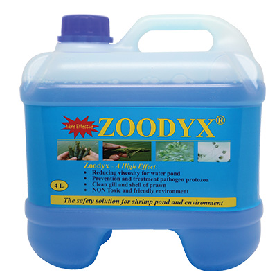 ZOODYX ZOODYX